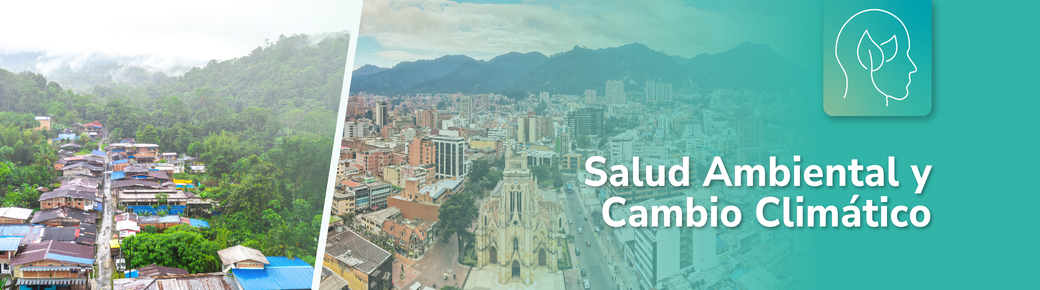 banner-salud_ambiental