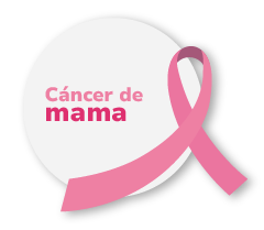 iconos_Mesa de trabajo 1.png